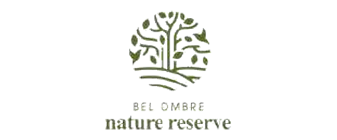 Bel Ombre Nature Reserve