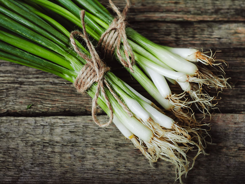 10-reasons-why-spring-onions-should-be-included-in-all-your-recipes (3)